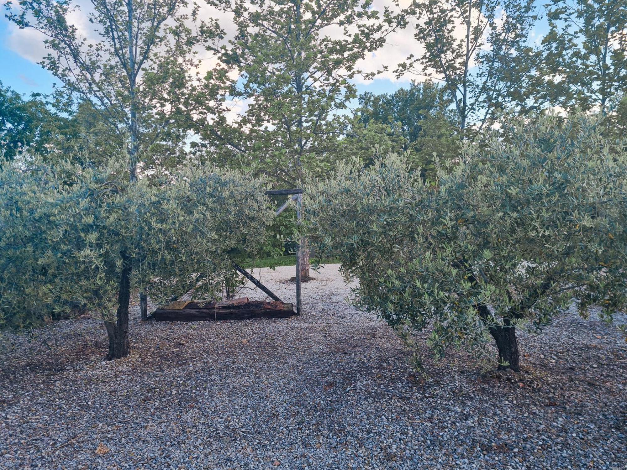 La Mela Rosa Bed & Breakfast Amandola Exterior photo