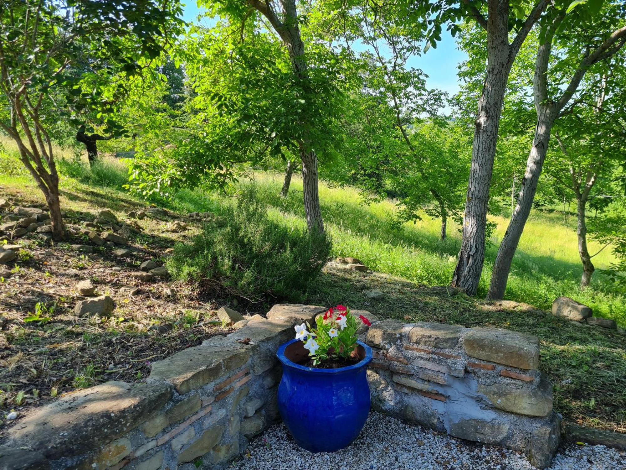 La Mela Rosa Bed & Breakfast Amandola Exterior photo